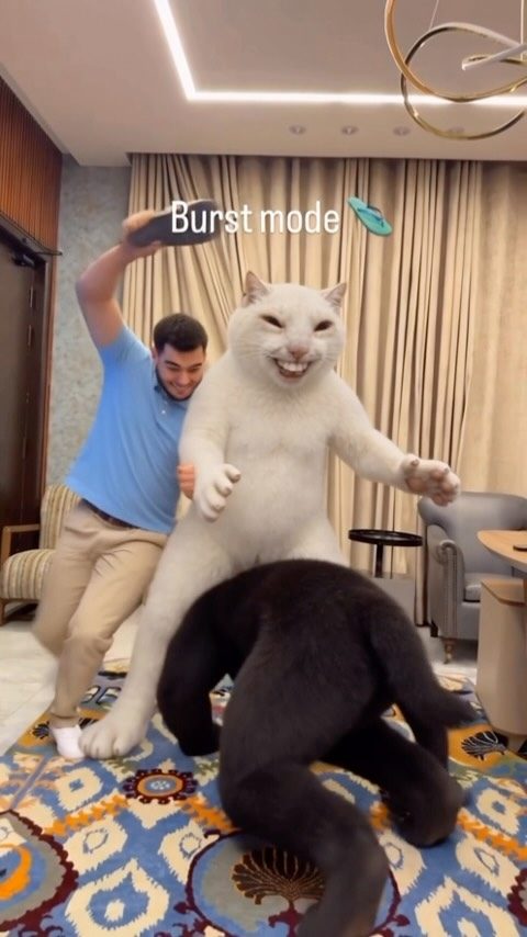 Deni mid-swing with a flip-flop at the giant white cat under the words Burst mode, while the black dog crouches out of range.