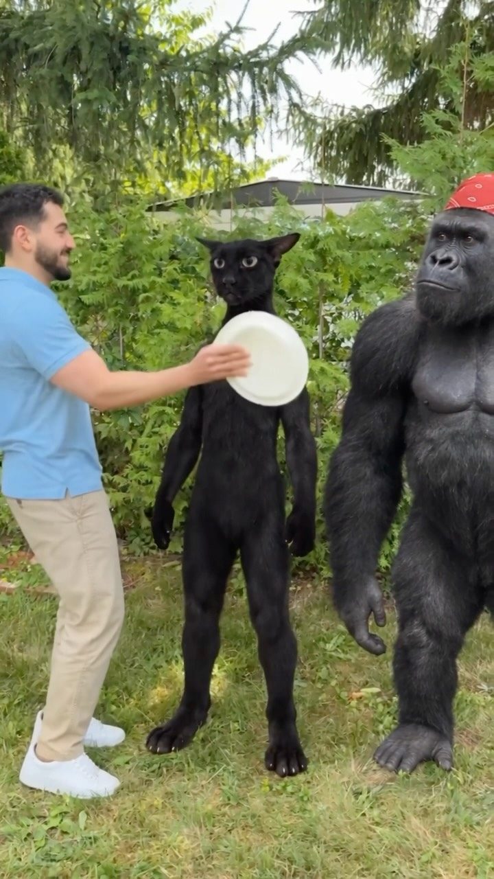 In a garden, Deni holds a paper plate toward the upright black cat while the gorilla in the red bandana stands beside it.