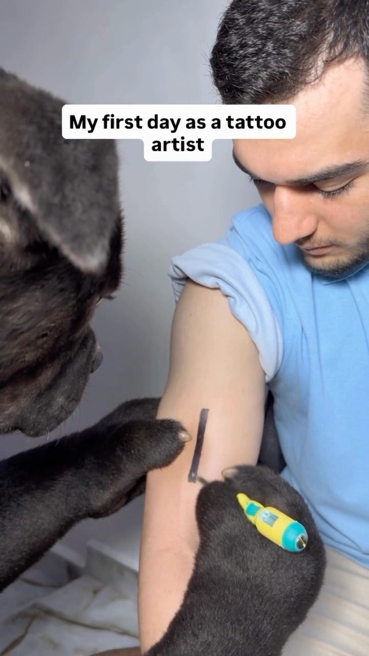 The black dog inking a straight line onto Deni's arm with a toy-sized tattoo machine under the words My first day as a tattoo artist.